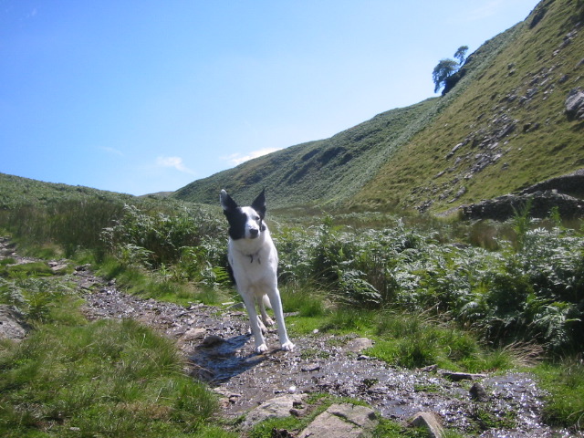 showbuttermere 049