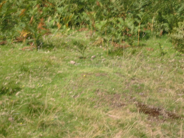 showbuttermere 059