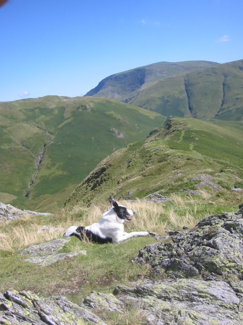 showbuttermere 063