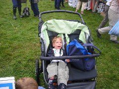 showbuttermere 014