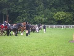 showbuttermere 012