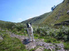 showbuttermere 049