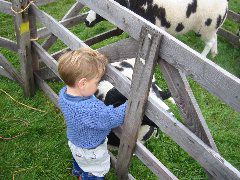 showbuttermere 032