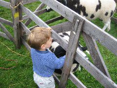 showbuttermere 021