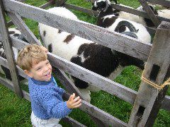 showbuttermere 022