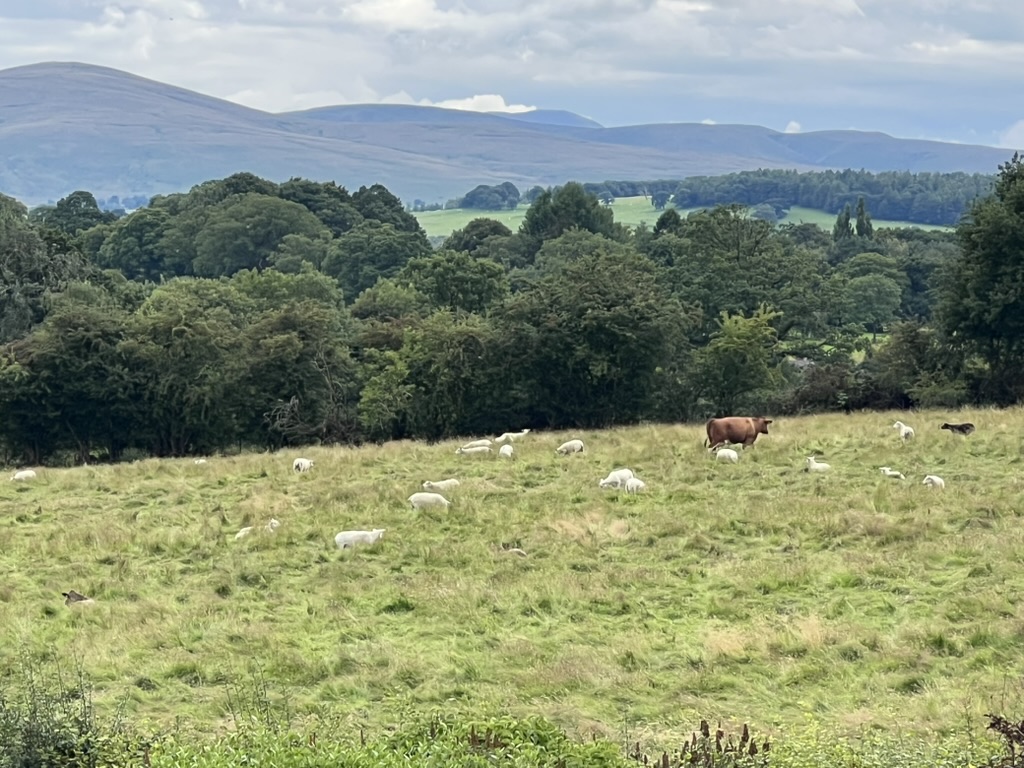 08BC25B3-B84F-4683-85A2-FF607B864FC1_1_105_c