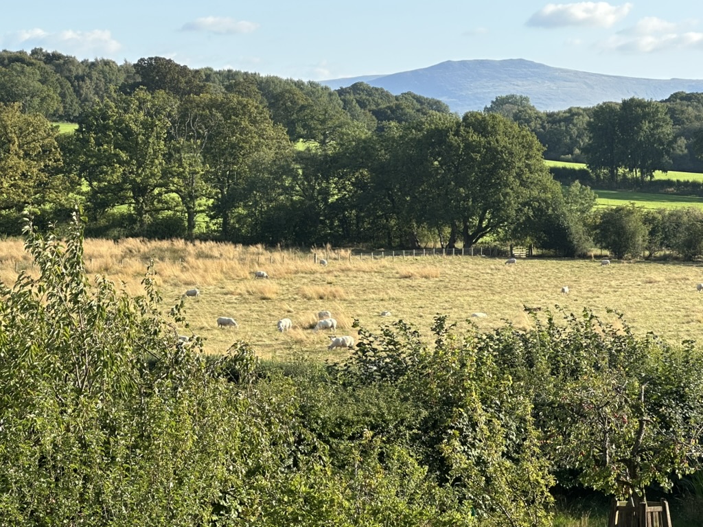 7698A712-4035-450D-8434-A983B87AAB3B_1_105_c