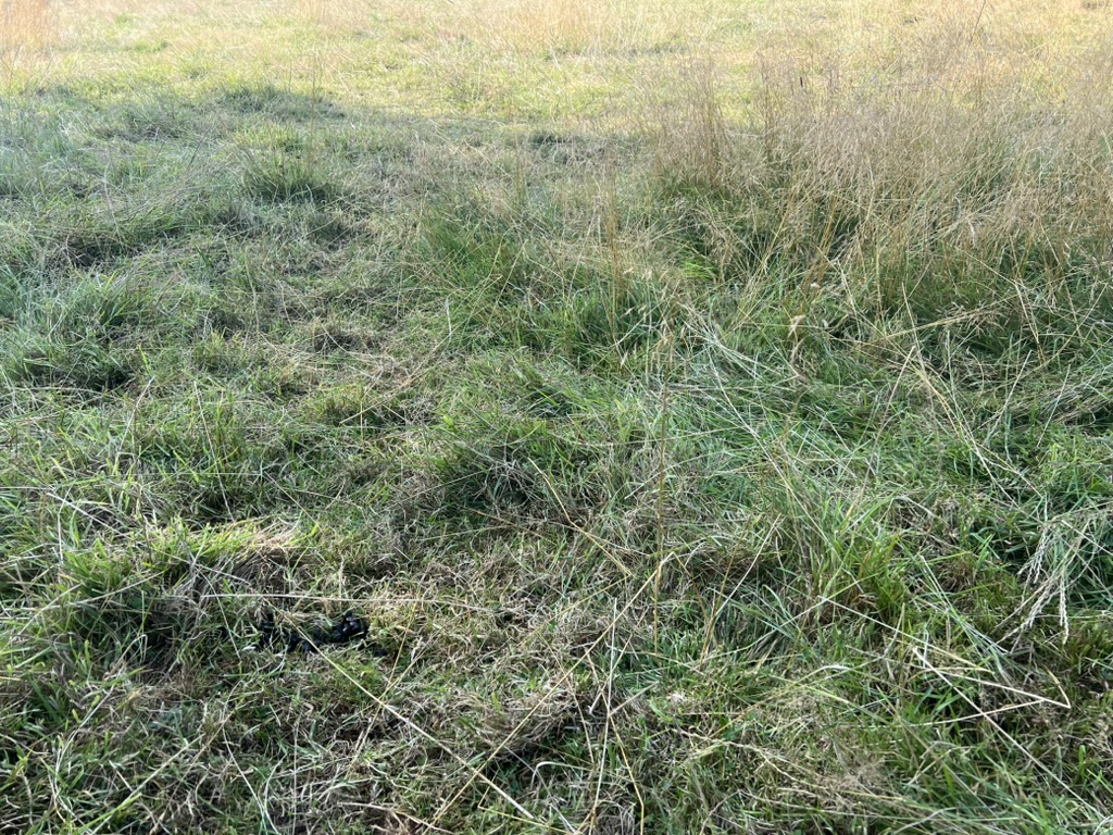 E3CEE412-ABAD-4E18-8BCD-F64C1D1FFEF5_1_105_c