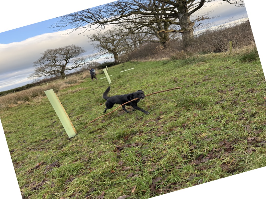 0DE5C8EB-87AB-4280-BD45-0684C2781594