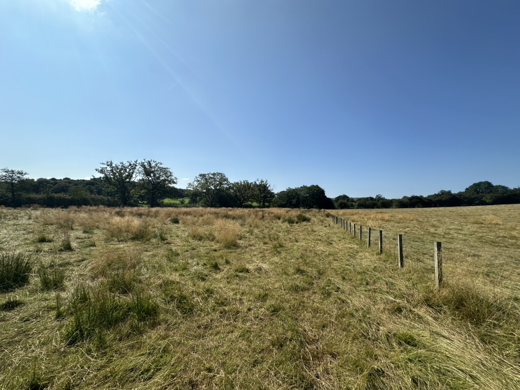 605927493_10162395845604290_289400804542577166_n