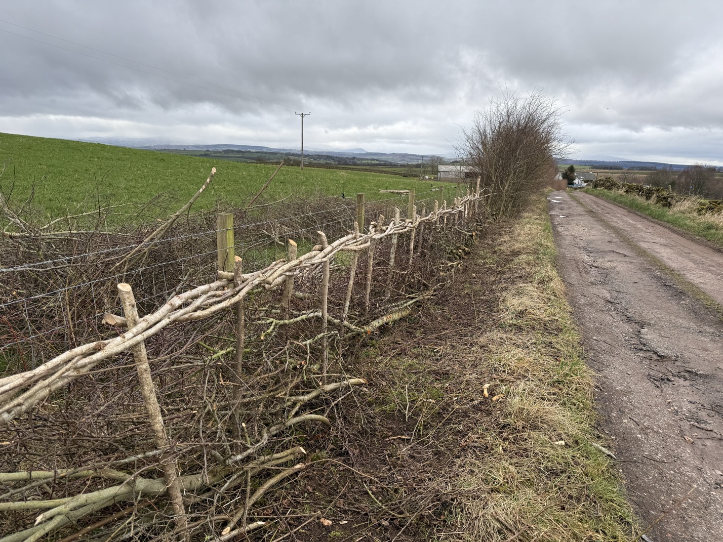 A1A58DF4-10B7-45D8-8D34-7235CC712EDD