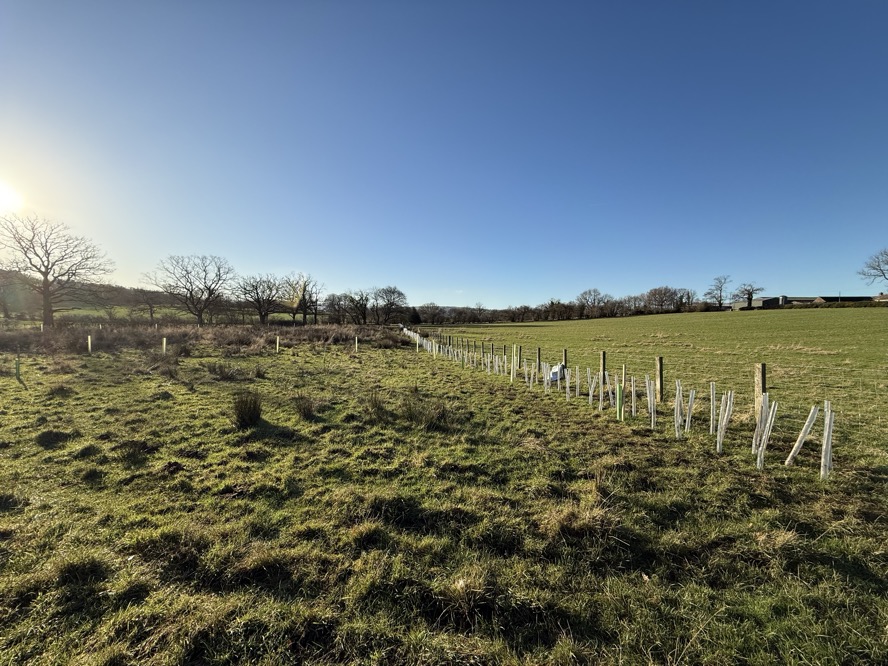 A793BF90-D3E9-4D7D-90E4-16F34060680C