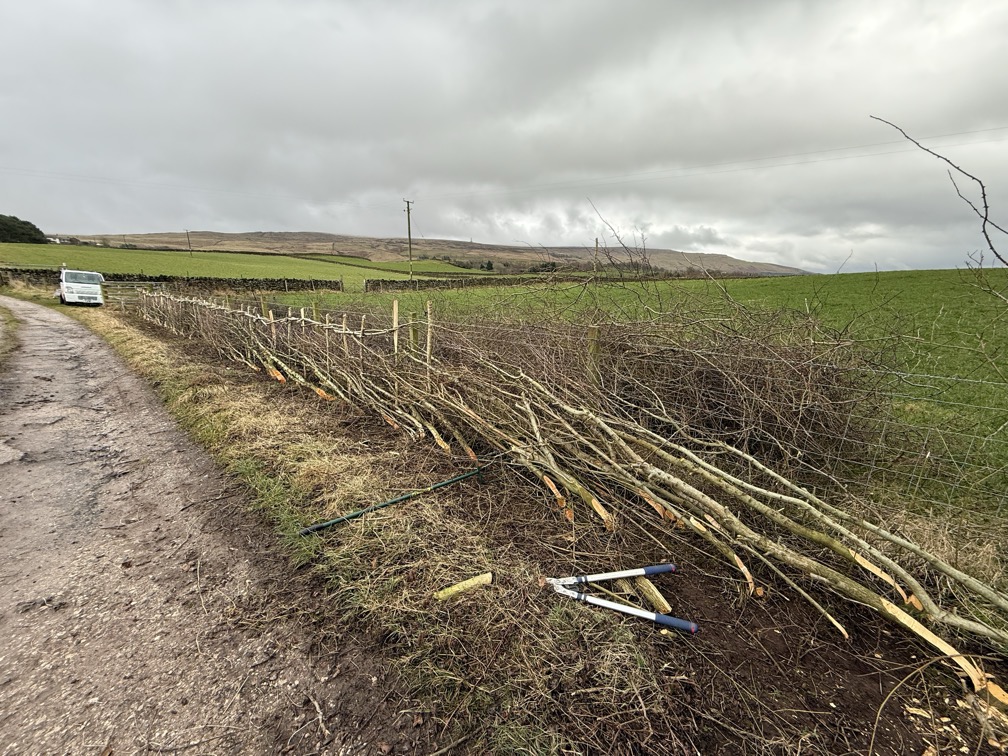 FF4A8093-E553-454A-AAF6-513CB09DE5A7